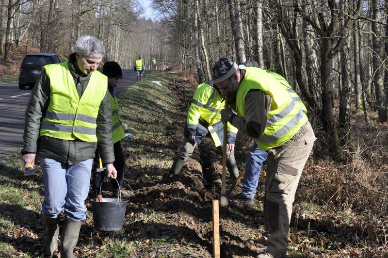 2013 02 25 Montage du crapaudrome 17